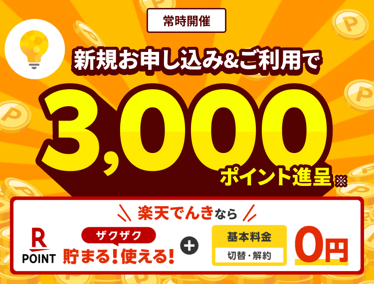 新規お申し込み&ご利用で3,000ポイント進呈